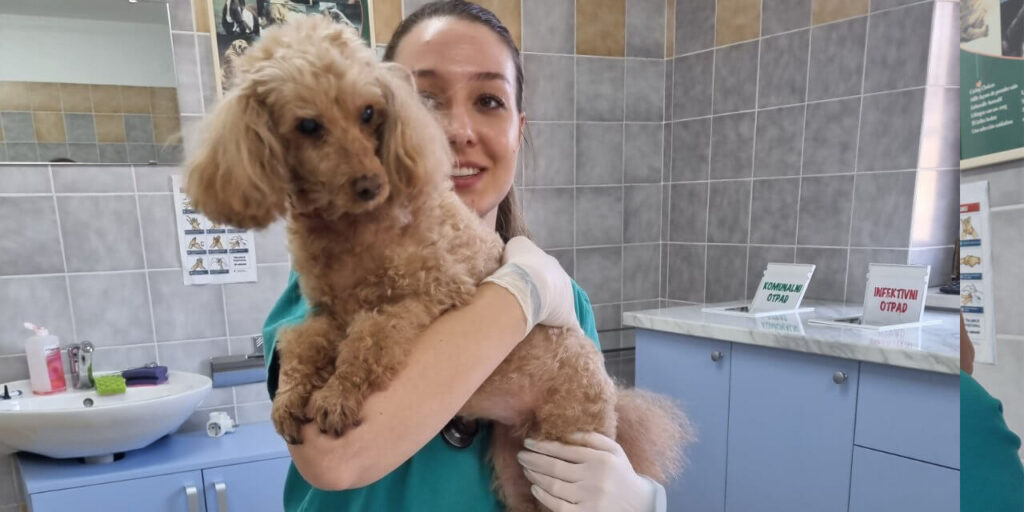 Veterinarska ambulanta za kućne ljubimce i u Murskom Središću